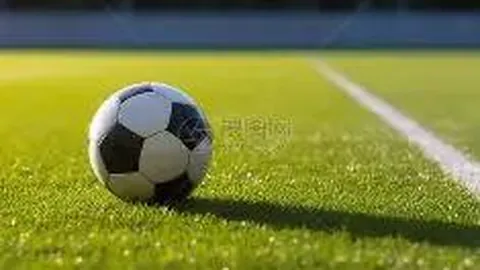 “湖北赛区第四届中国青少年足球联赛U13男子组预赛及湖北省足协青少年足球联赛U13男子组即将…”