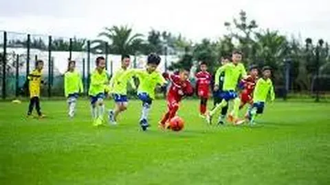 开运体育登录 资讯 090432 xvo