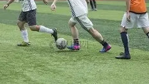 明星365日逃亡大逃亡，全辑资源免费下